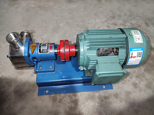 撓性轉(zhuǎn)子泵