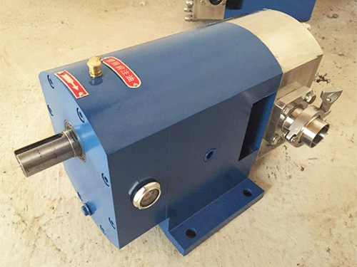 3RP系列凸輪轉(zhuǎn)子泵